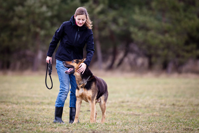 Animal Doctors Waverley - PIA Animal Doctors Waverley - PIA