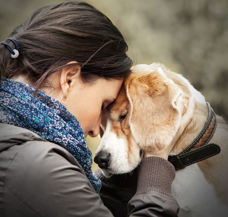 Riverstone Veterinary Hospital - PIA Riverstone Veterinary Hospital - PIA